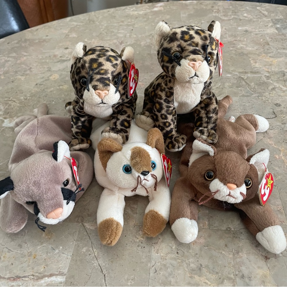 Meet the TY Beanie Baby Cats!